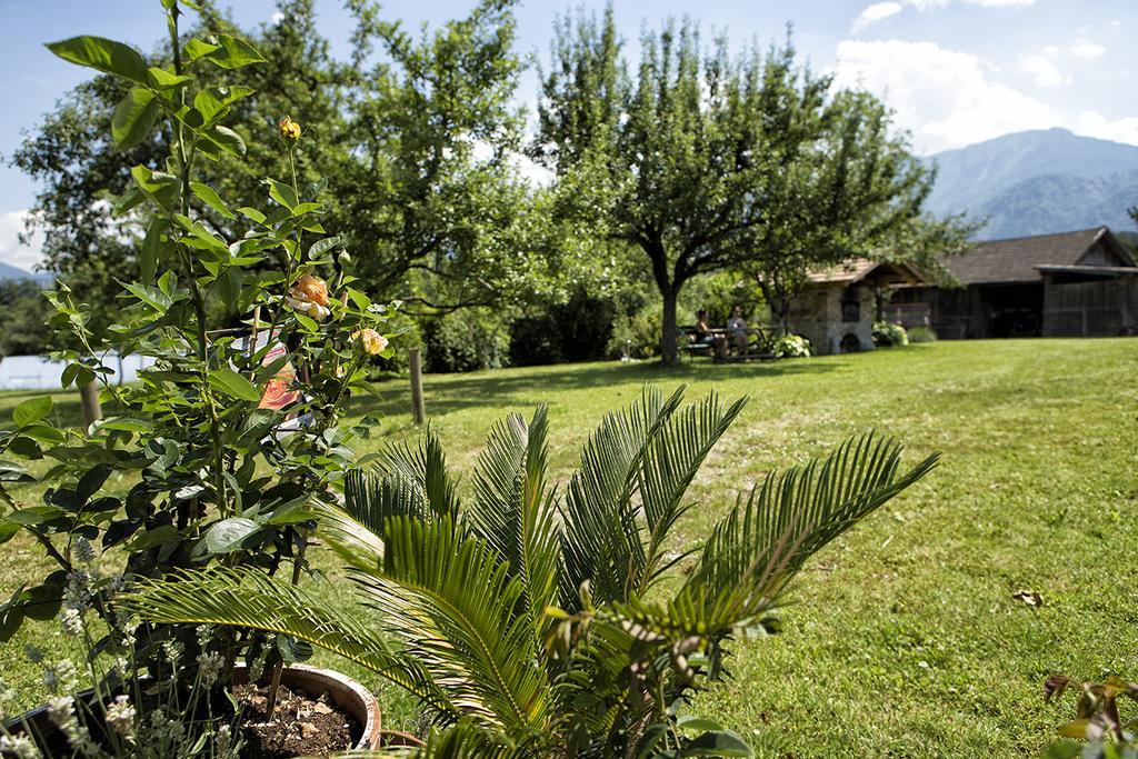 Pension Stausee Sankt Jakob im Rosental Ngoại thất bức ảnh
